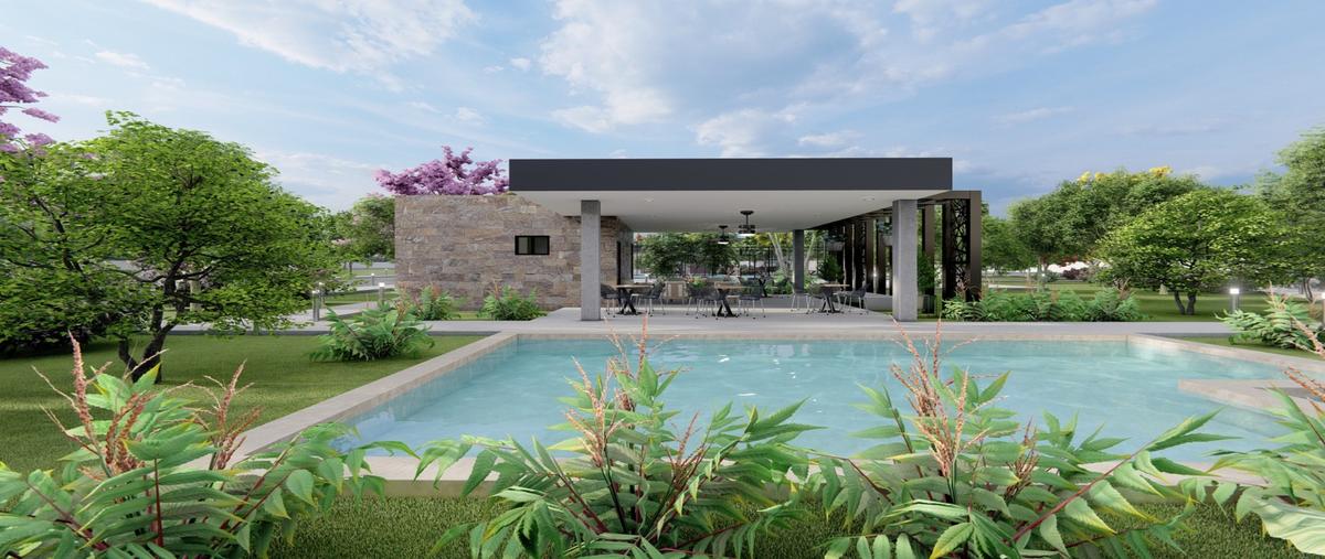 Foto de terreno habitacional en venta en  , real montejo, mérida, yucatán, 30920521 No. 05