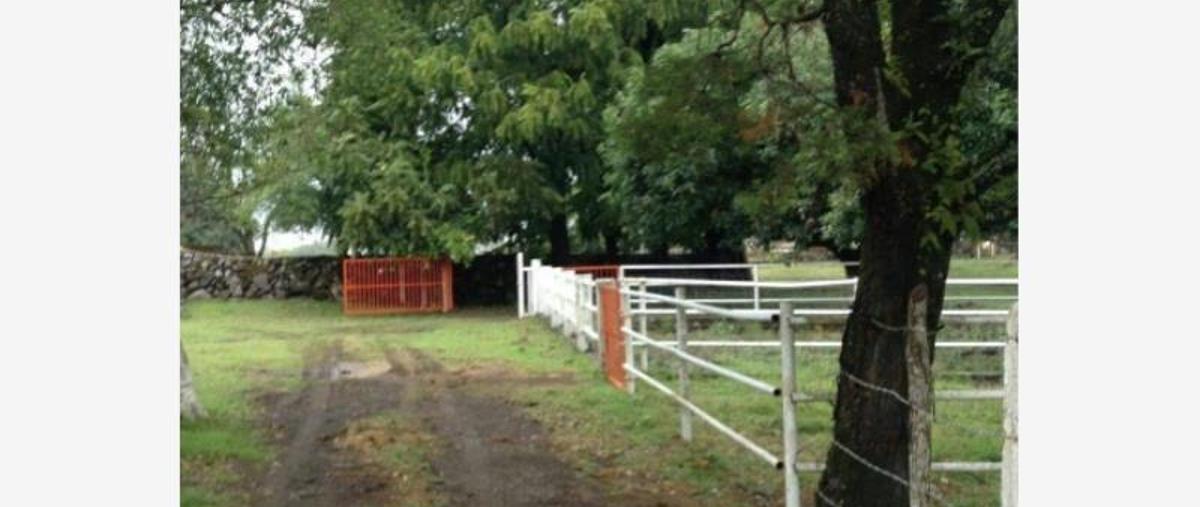 Foto de rancho en venta en  , campestre san juan, comala, colima, 8567643 No. 02