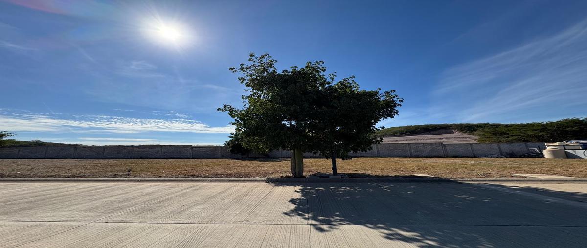 Foto de terreno habitacional en venta en  , real pacífico, mazatlán, sinaloa, 0 No. 03