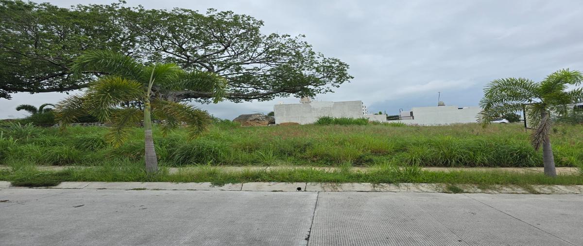 Foto de terreno habitacional en renta en  , real santa fe, villa de álvarez, colima, 0 No. 05