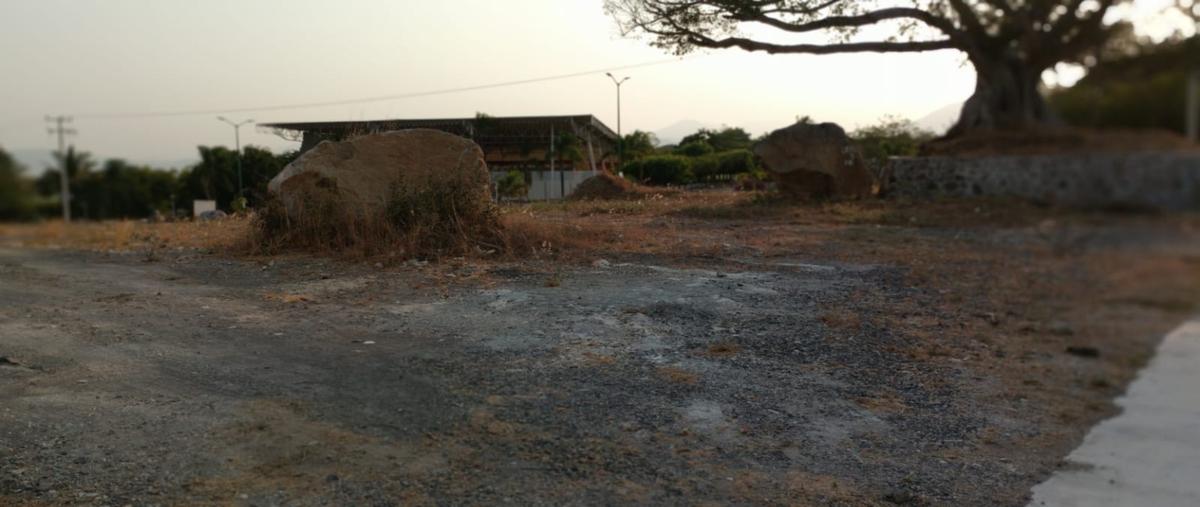 Foto de terreno habitacional en renta en  , real santa fe, villa de álvarez, colima, 0 No. 05