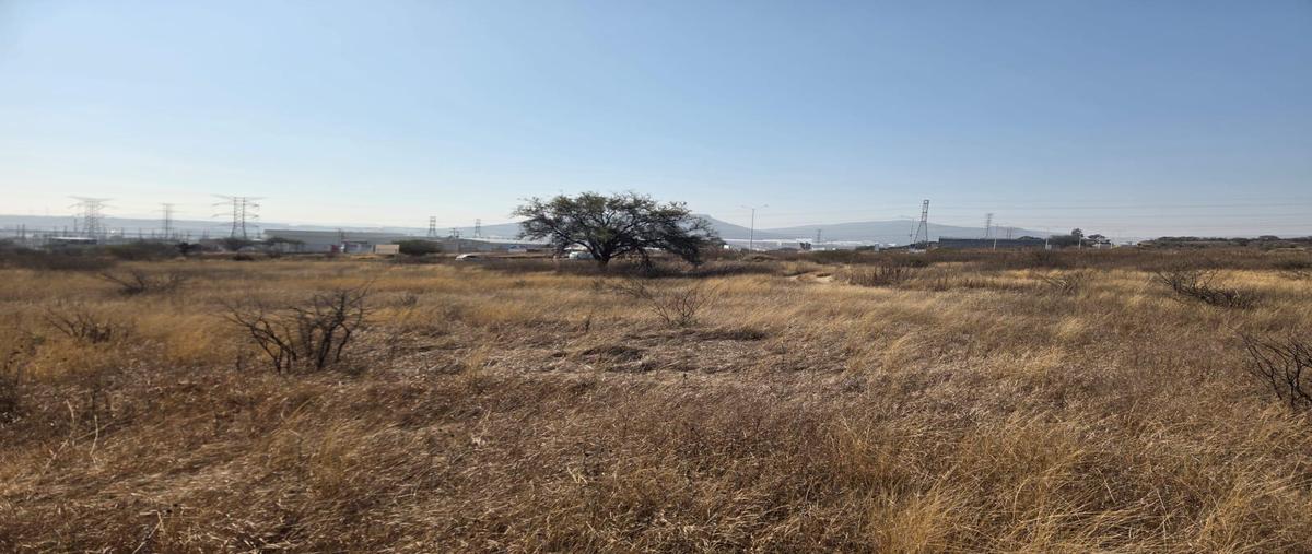 Foto de terreno habitacional en renta en  , real solare, el marqués, querétaro, 0 No. 03