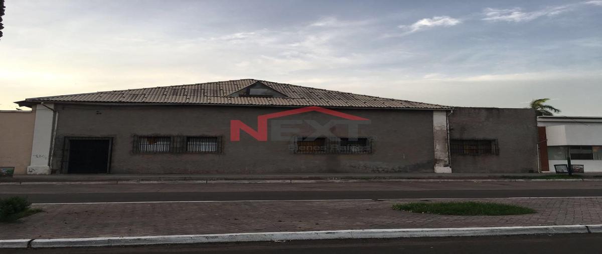 Foto de bodega en reforma 0, reforma, navojoa, sonora, 0 foto 01 Foto de bodega en renta en reforma 0, reforma, navojoa, sonora, 0 No. 01