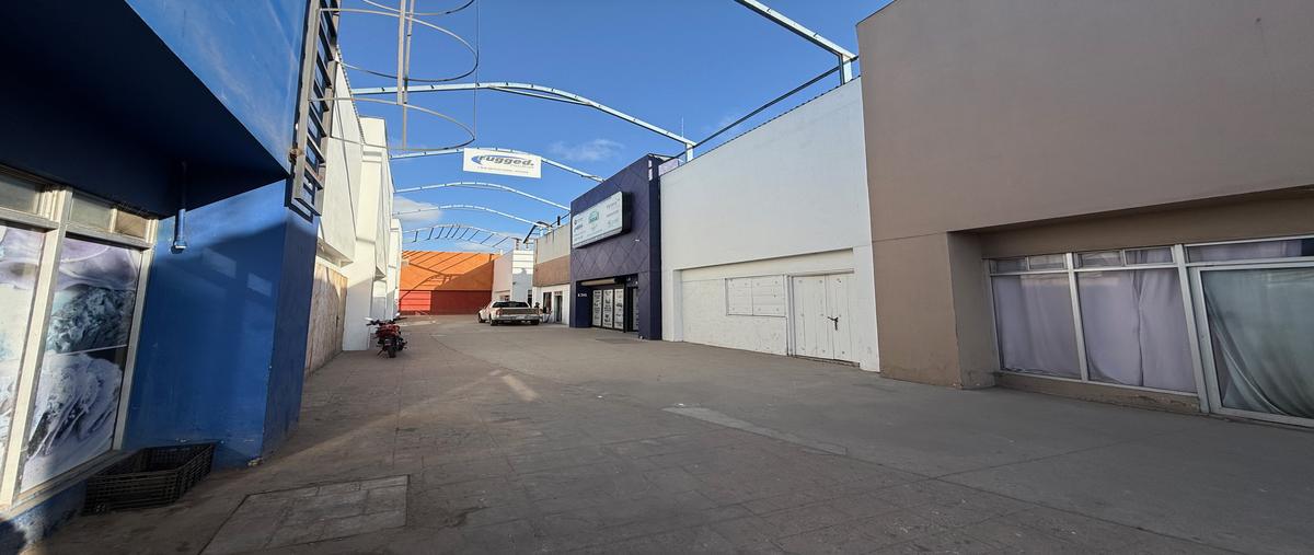 Foto de local en renta en reforma , abelardo l. rodríguez, ensenada, baja california, 29007160 No. 04