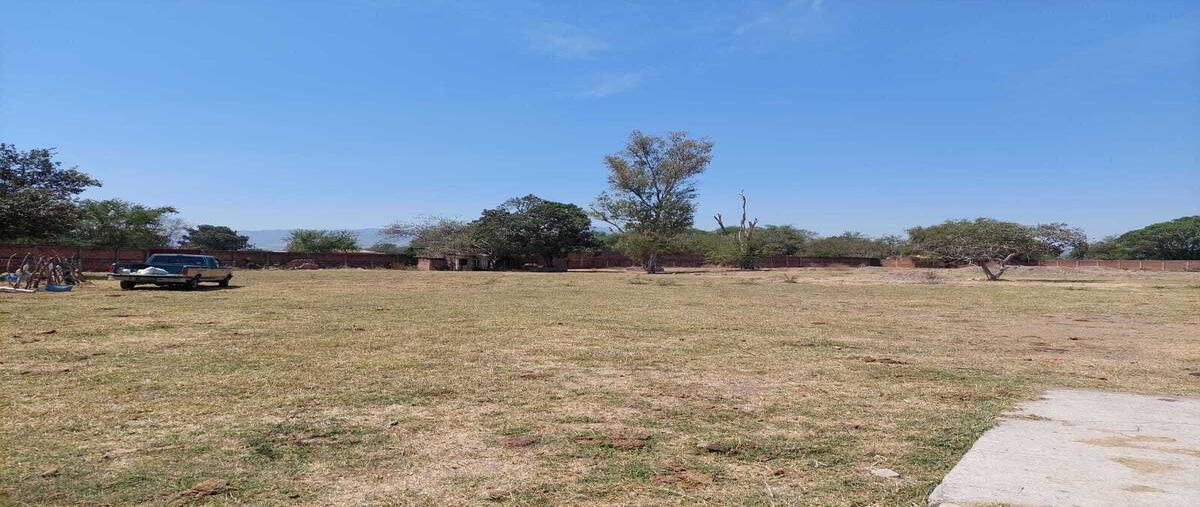 Foto de terreno habitacional en renta en reforma , ameca centro, ameca, jalisco, 29324570 No. 05