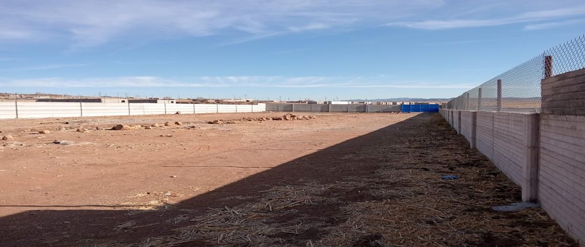 Foto de terreno habitacional en venta en  , reforma, cuauhtémoc, chihuahua, 29316064 No. 03
