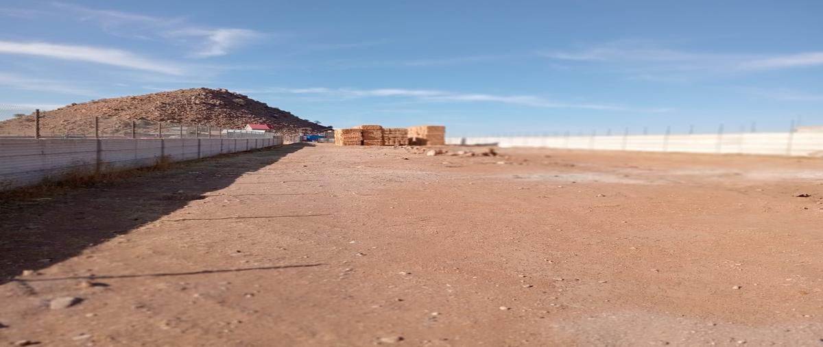 Foto de terreno habitacional en venta en  , reforma, cuauhtémoc, chihuahua, 29316064 No. 04