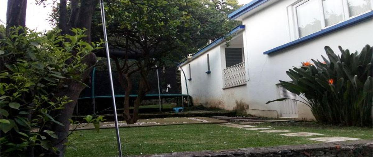 Foto de local en venta en  , reforma, cuernavaca, morelos, 25974043 No. 03