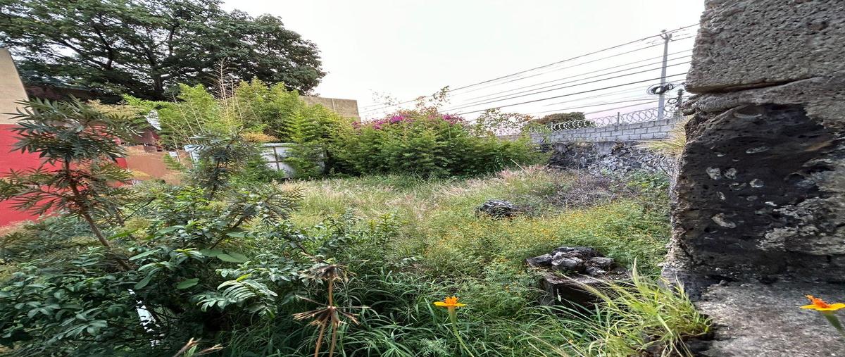 Foto de terreno habitacional en renta en  , reforma, cuernavaca, morelos, 0 No. 04