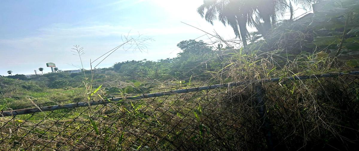 Foto de terreno habitacional en venta en  , reforma, cuernavaca, morelos, 0 No. 05