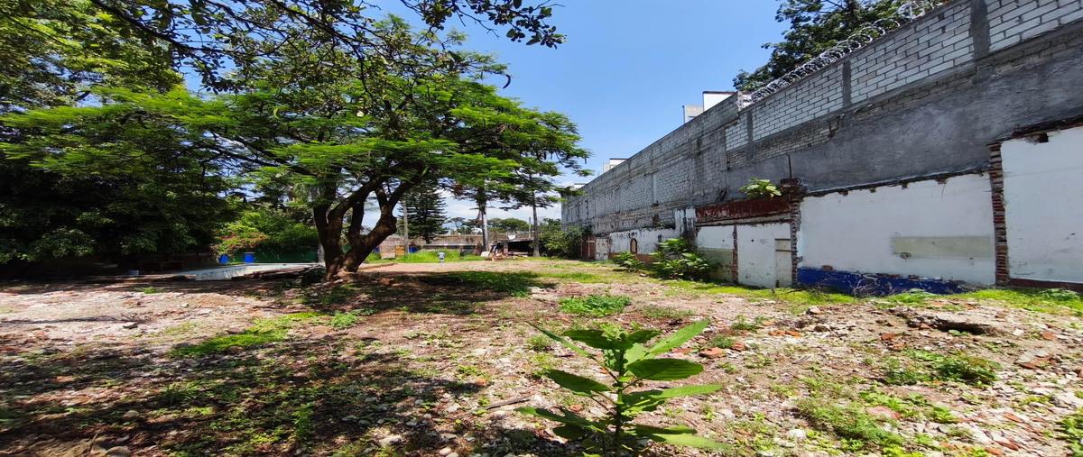 Foto de terreno habitacional en venta en  , reforma, cuernavaca, morelos, 0 No. 05