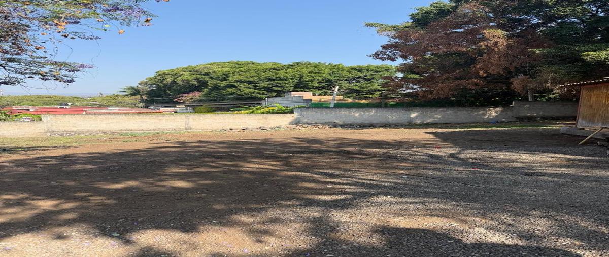 Foto de terreno habitacional en venta en  , reforma, cuernavaca, morelos, 31103487 No. 03