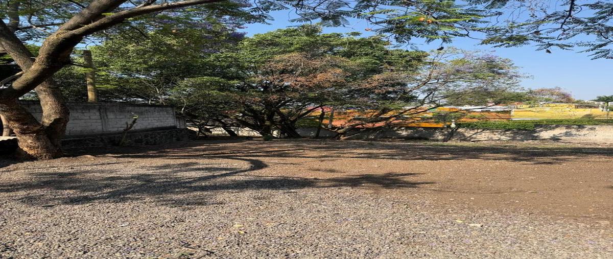 Foto de terreno habitacional en venta en  , reforma, cuernavaca, morelos, 31103487 No. 05