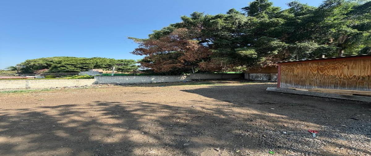 Foto de terreno habitacional en venta en  , reforma, cuernavaca, morelos, 0 No. 07