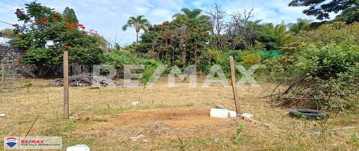 Foto de terreno habitacional en venta en reforma , reforma, cuernavaca, morelos, 0 No. 03