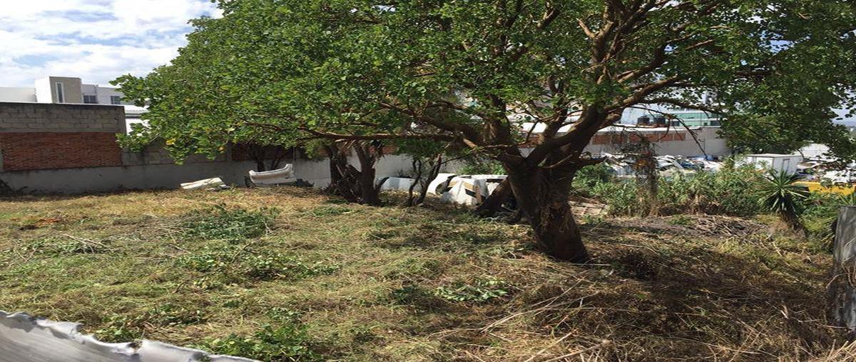 Foto de terreno habitacional en renta en  , reforma sur (la libertad), puebla, puebla, 18059167 No. 03