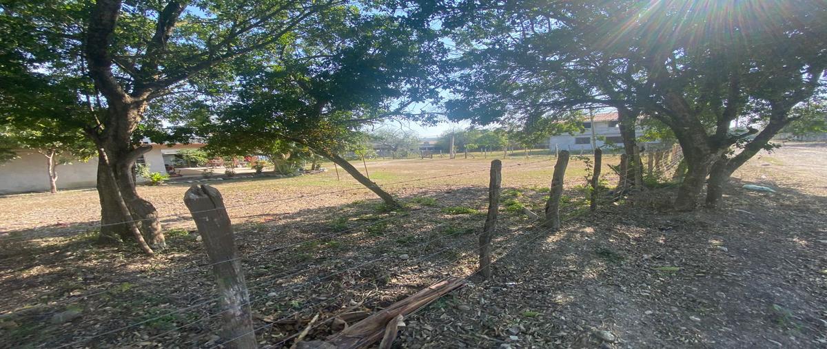 Foto de terreno habitacional en reforma , tamos, pánuco, veracruz de ignacio de la llave, 26046878 foto 02 Foto de terreno habitacional en venta en reforma , tamos, pánuco, veracruz de ignacio de la llave, 26046878 No. 02