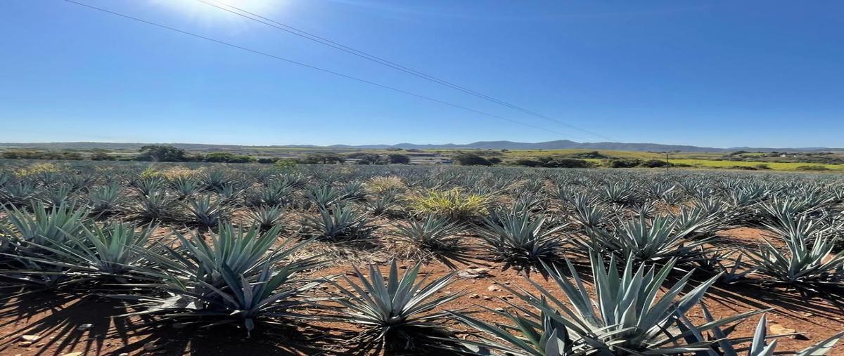 Foto de rancho en venta en refugio , el refugio, tepic, nayarit, 0 No. 03