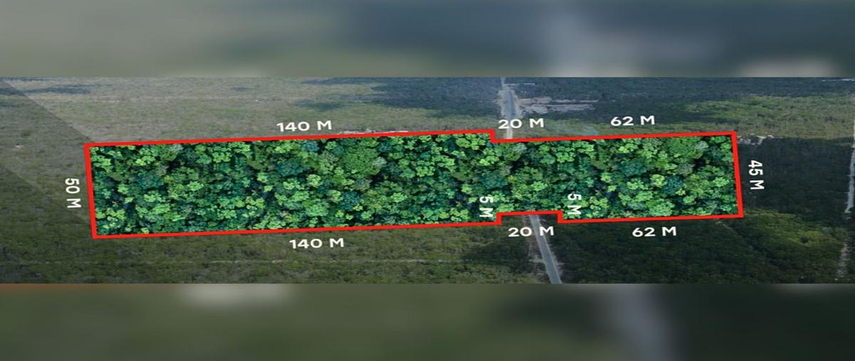 Foto de terreno comercial en venta en región 10 , ya ax tulum, tulum, quintana roo, 0 No. 04