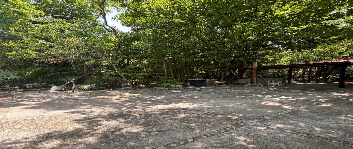 Foto de terreno habitacional en , región 103, benito juárez, quintana roo, 30999968 foto 05 Foto de terreno habitacional en venta en , región 103, benito juárez, quintana roo, 30999968 No. 05