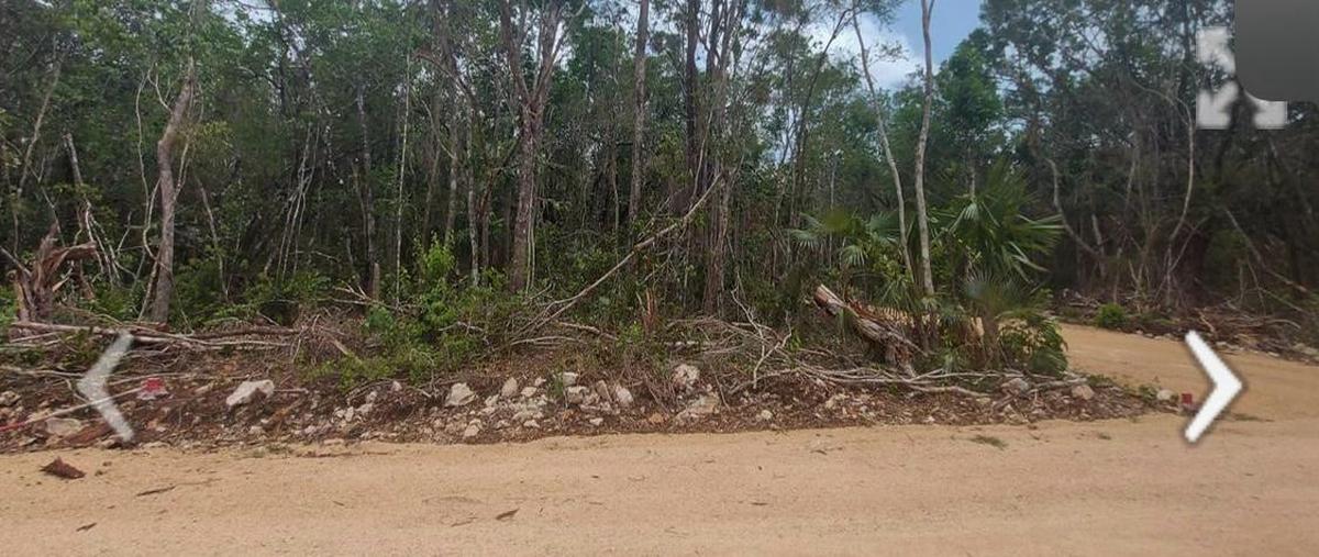 Foto de terreno habitacional en venta en region 11 , tulum centro, tulum, quintana roo, 30249374 No. 04