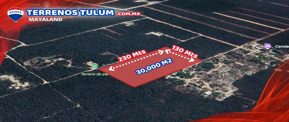 Foto de terreno comercial en region 12, cenote 11 , tulum centro, tulum, quintana roo, 28172055 foto 04 Foto de terreno comercial en venta en region 12, cenote 11 , tulum centro, tulum, quintana roo, 28172055 No. 04