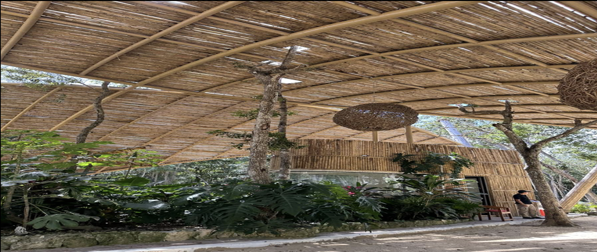 Foto de terreno habitacional en venta en region 12 , region 15 kukulcan, tulum, quintana roo, 0 No. 04