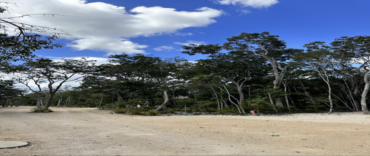 Foto de terreno habitacional en venta en region 12 , region 15 kukulcan, tulum, quintana roo, 0 No. 05