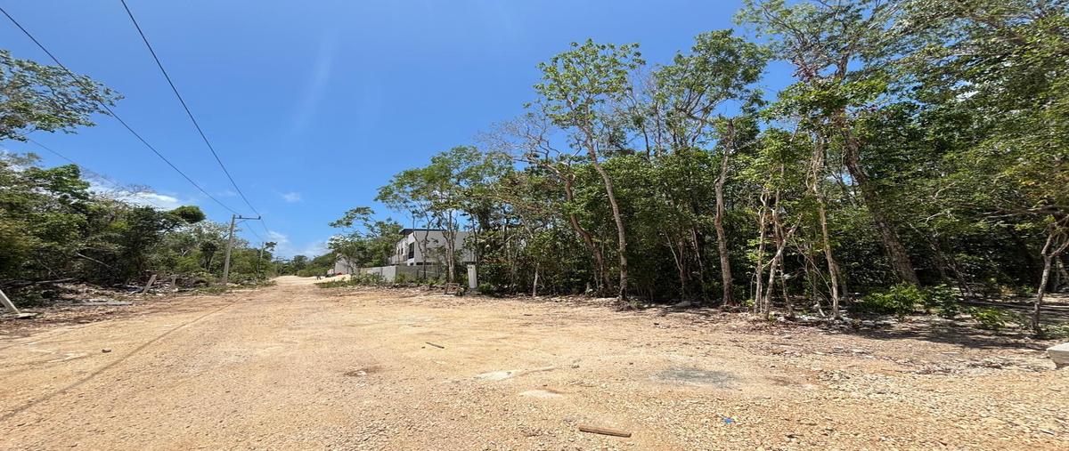 Foto de terreno habitacional en , region 15 kukulcan, tulum, quintana roo, 0 foto 01 Foto de terreno habitacional en venta en , region 15 kukulcan, tulum, quintana roo, 0 No. 01