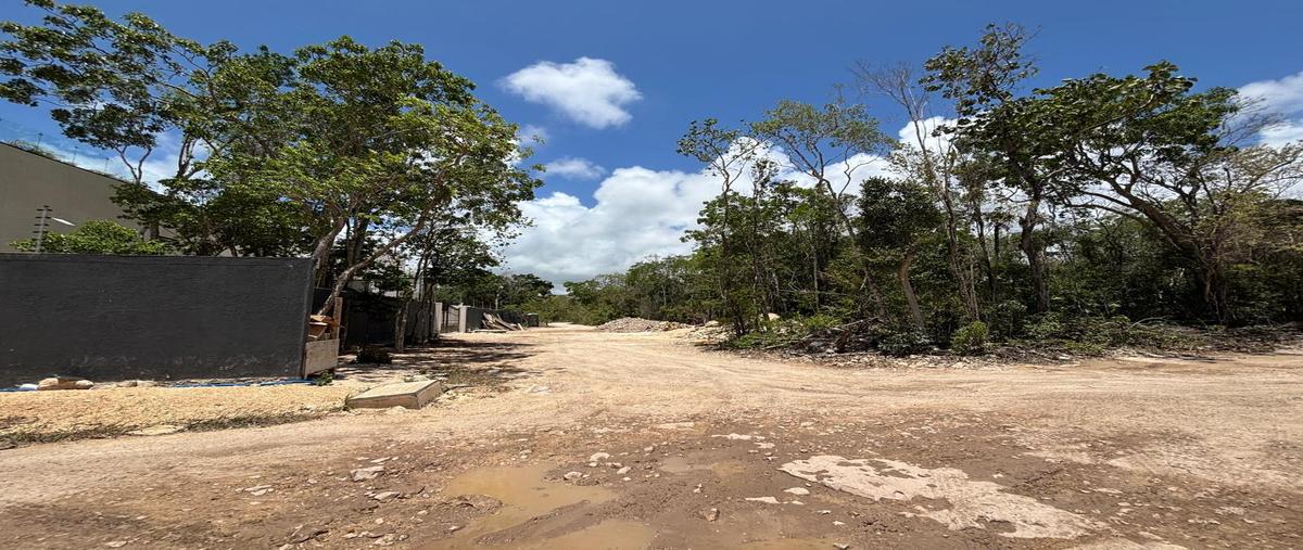 Foto de terreno habitacional en , region 15 kukulcan, tulum, quintana roo, 0 foto 03 Foto de terreno habitacional en venta en , region 15 kukulcan, tulum, quintana roo, 0 No. 03