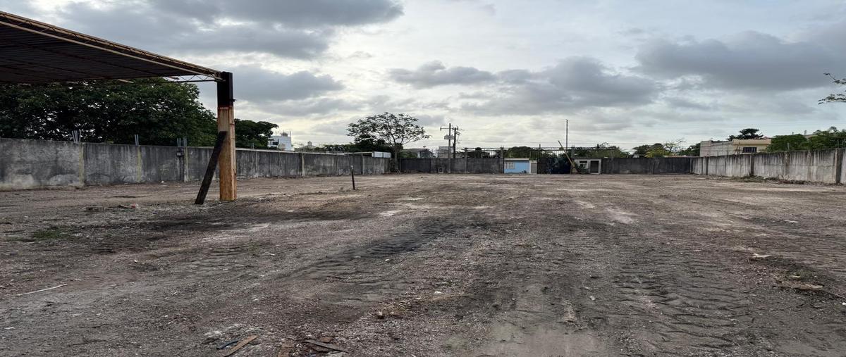 Foto de bodega en renta en  , región 221, benito juárez, quintana roo, 30137356 No. 04