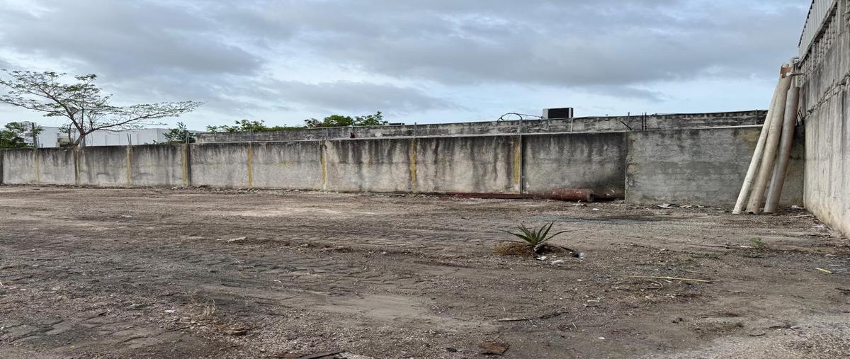 Foto de bodega en renta en  , región 221, benito juárez, quintana roo, 30137356 No. 05