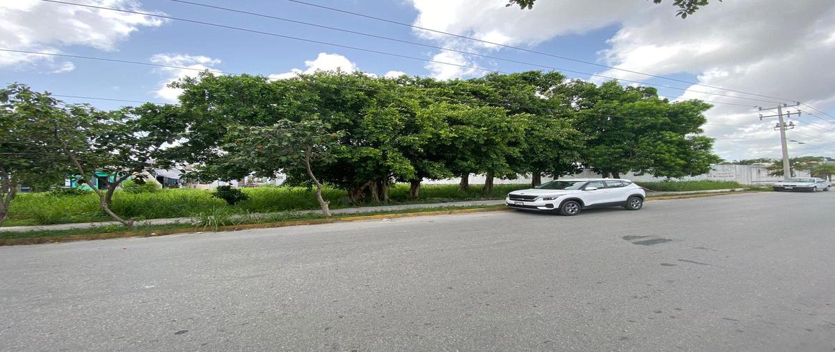 Foto de terreno habitacional en venta en  , región 227, benito juárez, quintana roo, 21504768 No. 05