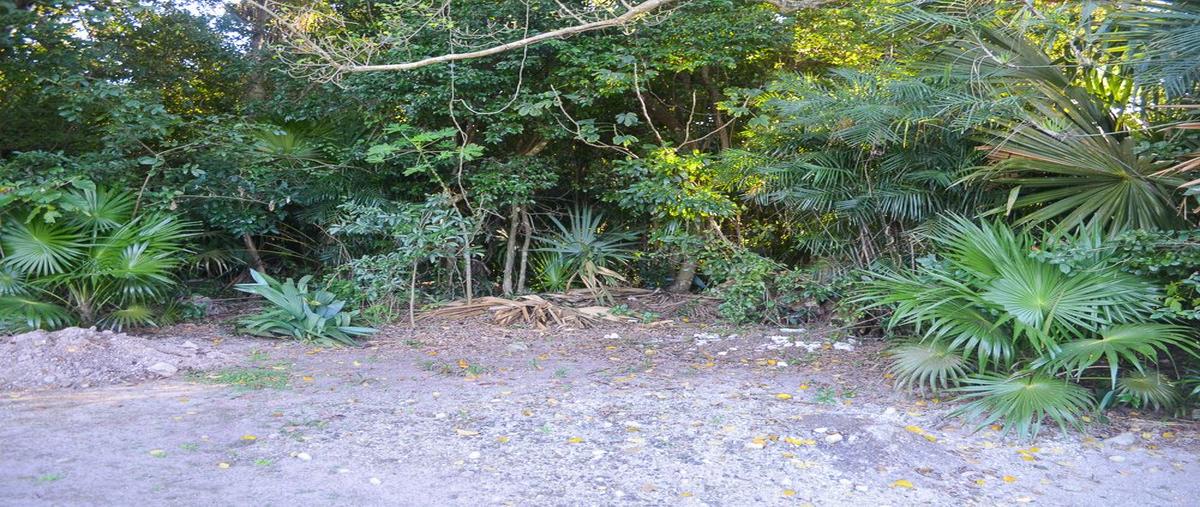 Foto de terreno habitacional en venta en region 8 , maya pax, tulum, quintana roo, 0 No. 05