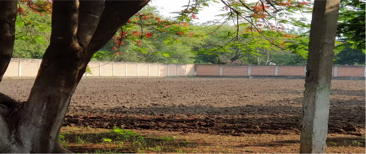 Foto de terreno habitacional en venta en remolino 4 , ixtlahuacan, yautepec, morelos, 30583835 No. 03