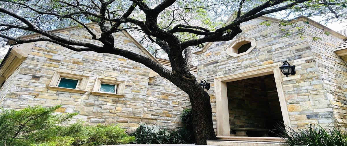 Foto de casa en venta en renacimiento , cumbres renacimiento, monterrey, nuevo león, 0 No. 05