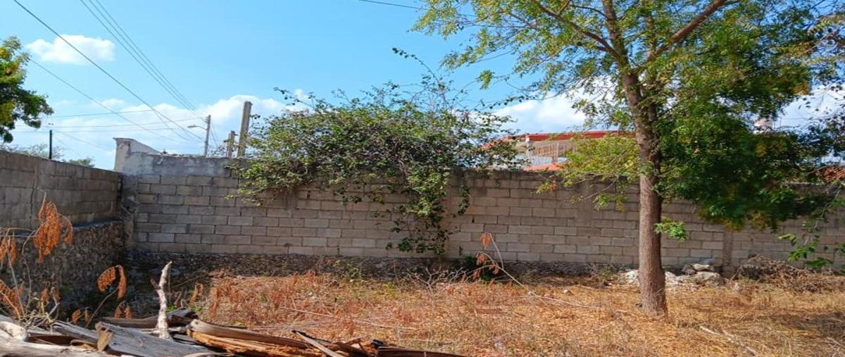 Foto de casa en venta en  , reparto granjas, mérida, yucatán, 27901814 No. 04