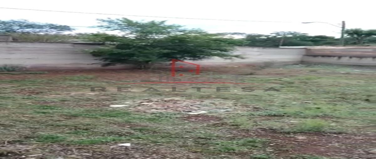 Foto de terreno habitacional en venta en  , república, cuauhtémoc, chihuahua, 25117846 No. 03