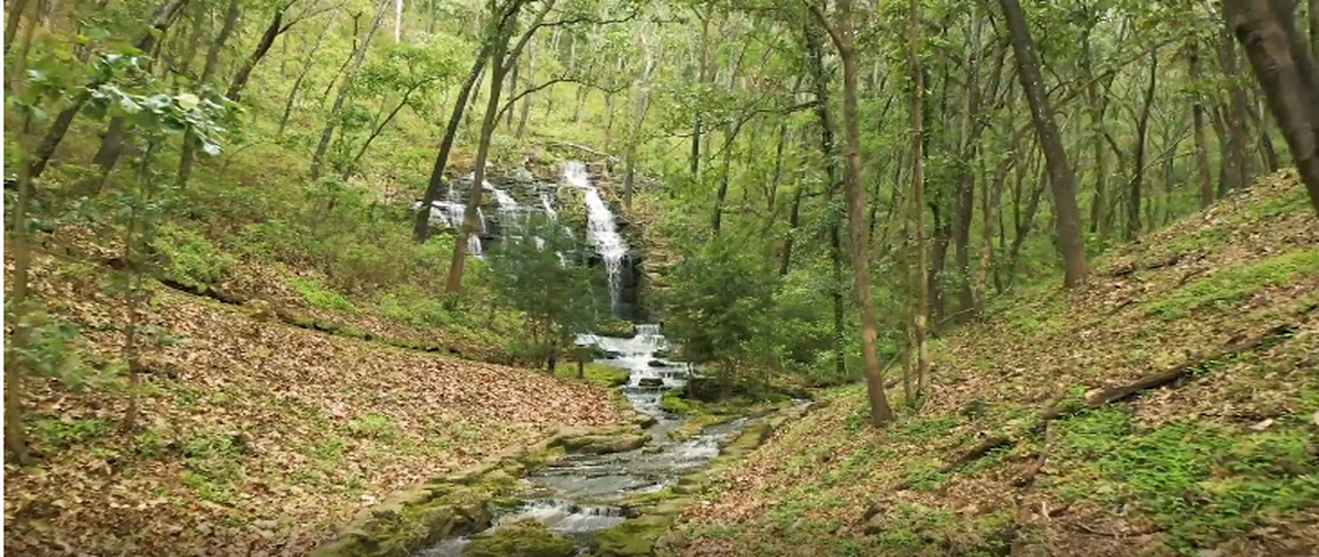 Foto de terreno habitacional en reserva de los encinos , el arenal, el arenal, jalisco, 22608757 foto 02 Foto de terreno habitacional en venta en reserva de los encinos , el arenal, el arenal, jalisco, 22608757 No. 02