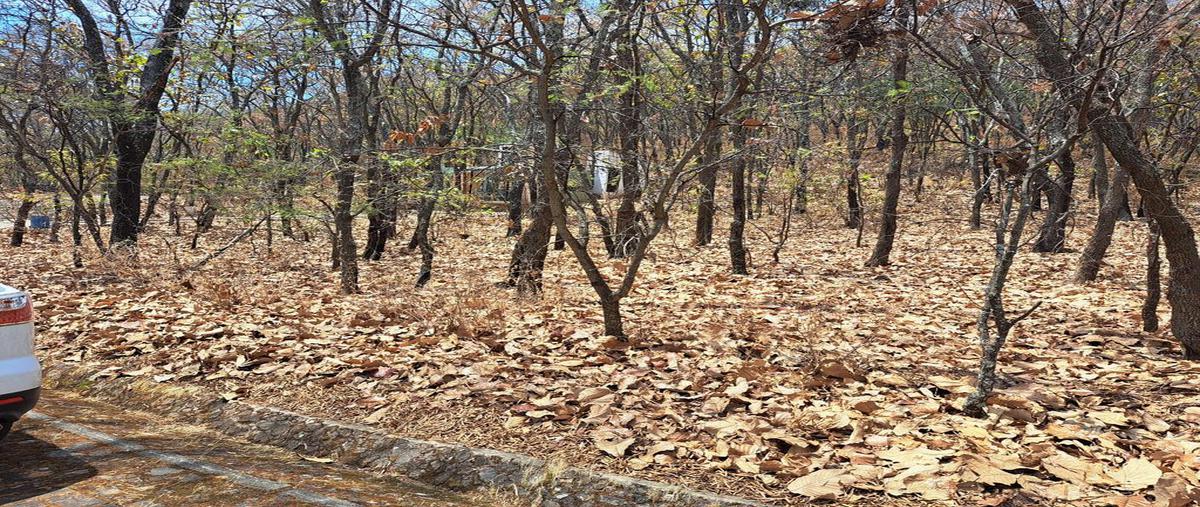 Foto de terreno habitacional en venta en reserva de los encinos , teuchitlán, teuchitlán, jalisco, 0 No. 05