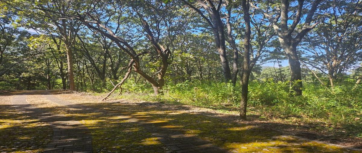 Foto de terreno habitacional en venta en reserva los encinos , el arenal, el arenal, jalisco, 0 No. 05
