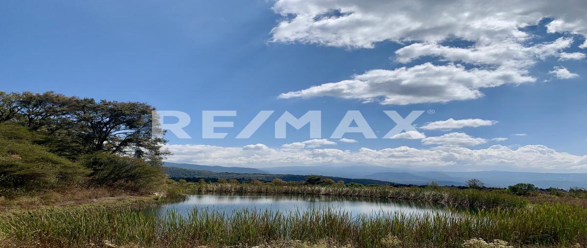 Foto de terreno habitacional en venta en reserva peñitas , temascaltepec de gonzález, temascaltepec, méxico, 0 No. 03