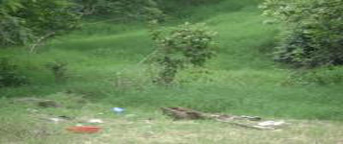 Foto de terreno habitacional en venta en  , reserva territorial, xalapa, veracruz de ignacio de la llave, 6697847 No. 05