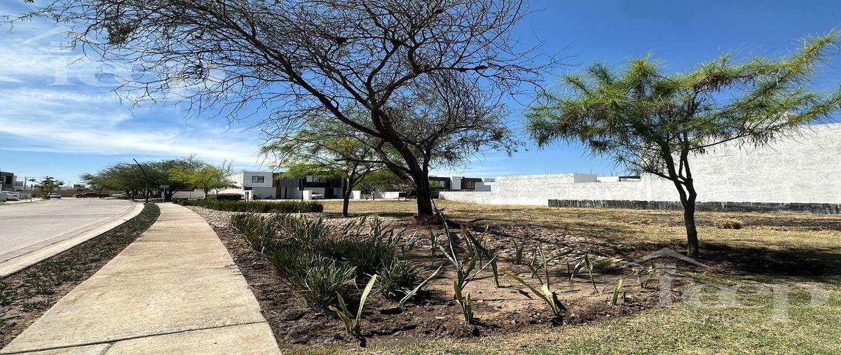 Foto de terreno habitacional en venta en  , residencial brisas, león, guanajuato, 29465512 No. 05