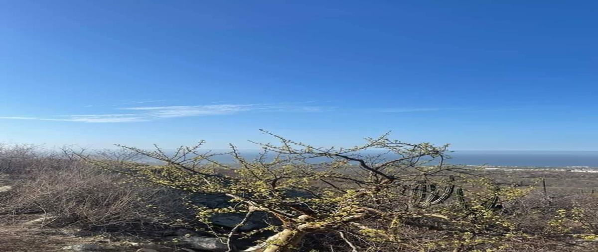 Foto de terreno habitacional en venta en  , residencial cabo del sol, los cabos, baja california sur, 30486842 No. 05