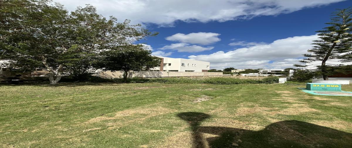 Foto de terreno habitacional en venta en  , residencial campestre, benito juárez, quintana roo, 0 No. 04