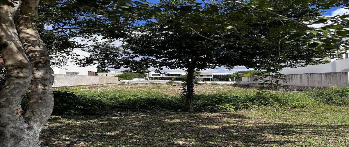 Foto de terreno habitacional en venta en  , residencial campestre, benito juárez, quintana roo, 0 No. 05