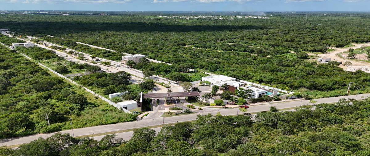 Foto de terreno habitacional en , residencial campestre viladiu, mérida, yucatán, 0 foto 03 Foto de terreno habitacional en venta en , residencial campestre viladiu, mérida, yucatán, 0 No. 03