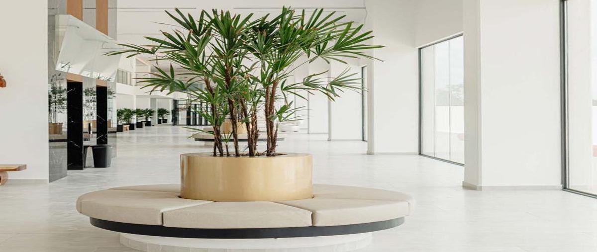 Foto de departamento en venta en  , residencial caracol, benito juárez, quintana roo, 0 No. 04