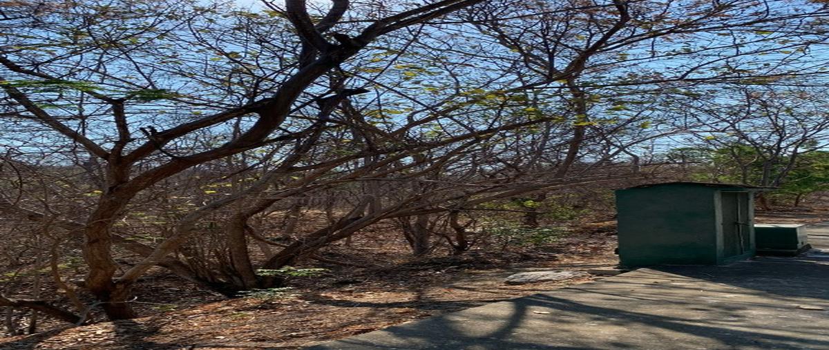 Foto de terreno habitacional en venta en  , residencial conejos, santa maría huatulco, oaxaca, 0 No. 04